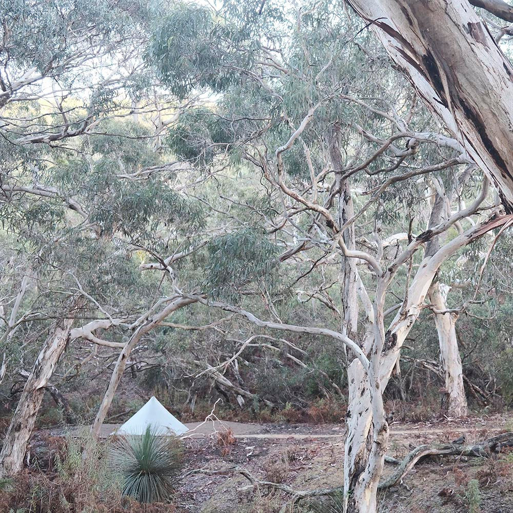 Heysen Trail campsite with DCF pyramid shelter made by OrangeBrown. Australia