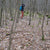 Day hiker unable to find its way through the dense forrest in Lower Saxony, Germany