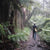 Person carrying an OrangeBrown Sling Bag, walking through a temperate rainforest. Dandenong Ranges, Victoria, Australia
